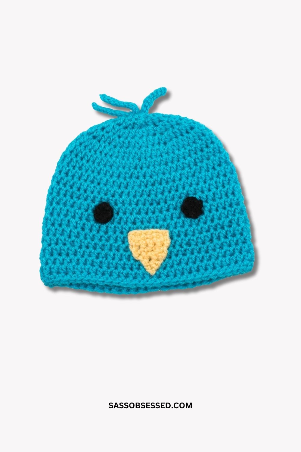 Blue Bird Crochet Cap